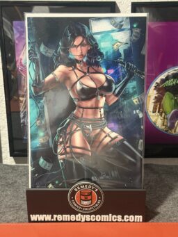 WAIFU CHRONICLES #1 CVR-D REIVASH CATWOMAN SELINA LINGERIE NICE VIR VAR LTD 70