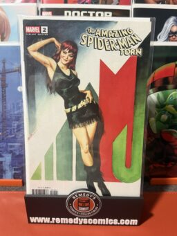 Amazing Spider-Man Torn #2 - Steve Rude - Trade