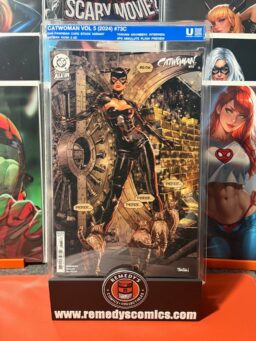 Catwoman - Vol 5 - #73C - Dan Panosian - Batman Hush 2 AD - Torunn Gronbekk Interview - Absolute Flash Preview - Uncirculated Soft Slab