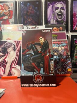 BATWOMAN #4 - CVR B - STJEPAN SEJIC -CARD STOCK VAR