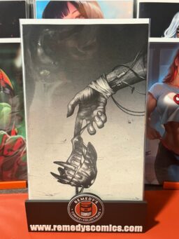 Fall of the House of Slaughter #2 H Unlimited Variant -Release 6/10/2026