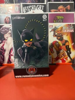 ABSOLUTE CATWOMAN #2 (OF 6) - CVR B - LESLEY LEIRIX LI - Releases 7/8/26