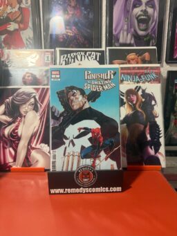 PUNISHER VS. SPIDER-MAN #1 - DIKE RUAN VARIANT - Releases 7/15/26