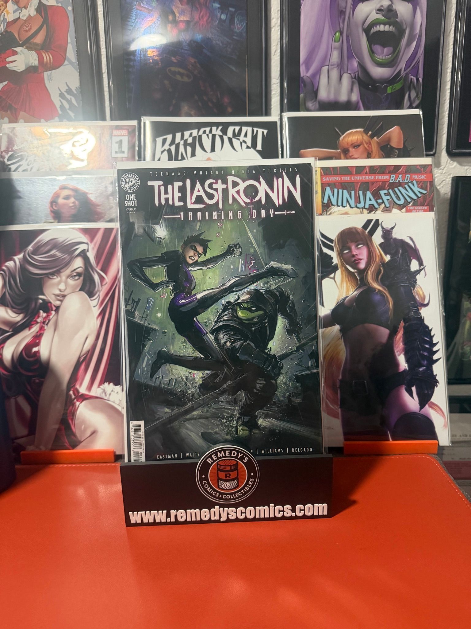 Teenage Mutant Ninja Turtles: The Last Ronin -Training Day Variant C - Clayton Crain - Releases 7/15/26