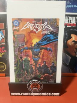 Batman Bad Seeds Sunset - Ashcan